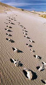 Footprints