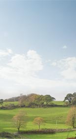 Irish Countryside